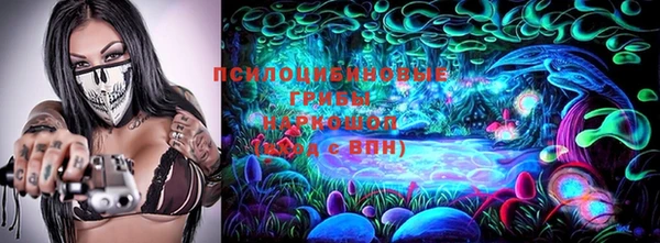 ГАЛЛЮЦИНОГЕННЫЕ ГРИБЫ Алексеевка
