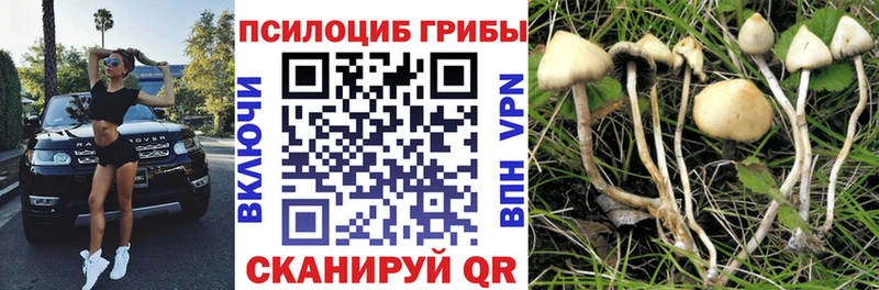 hydra как зайти  Аргун  Галлюциногенные грибы ЛСД 